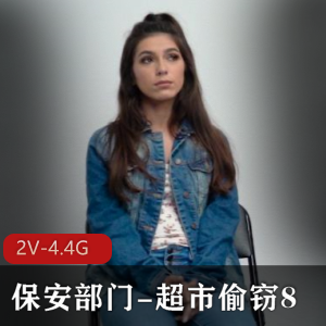 保安部门-超市偷窃7  2V-7.8G